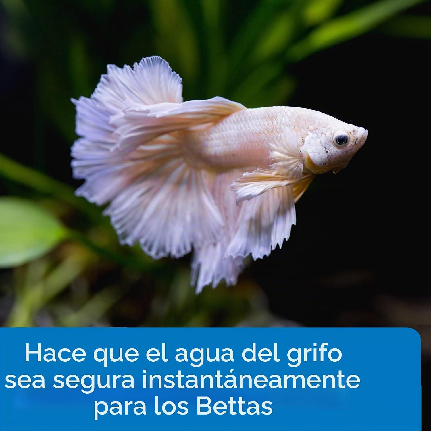 Betta Water Conditioner - Acondicionador API - Imagen 2