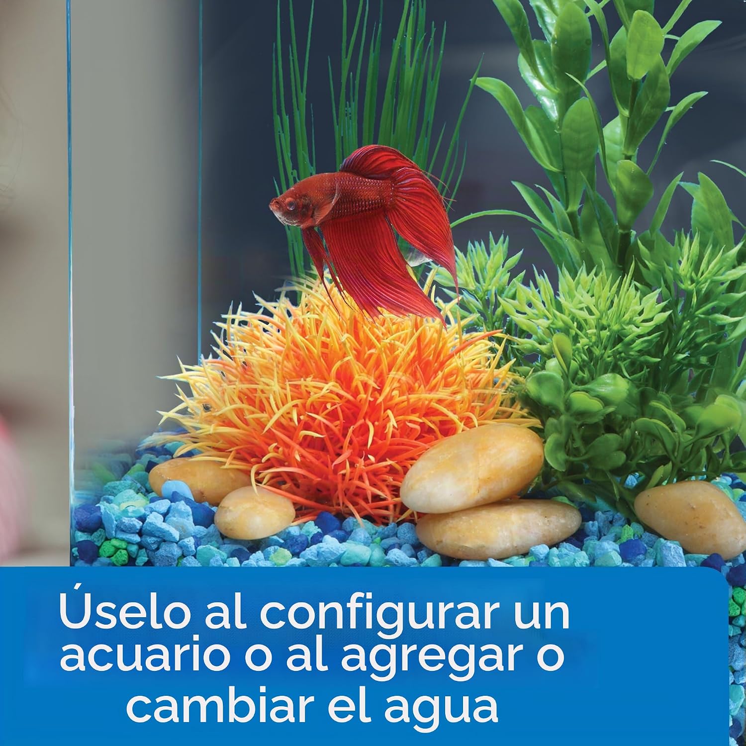 Betta Water Conditioner - Acondicionador API - Imagen 3