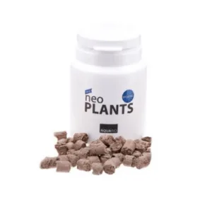 Neo plants St Long Abono