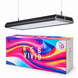 CHIHIROS RGB VIVID 2 BLACK 10TH EDICION