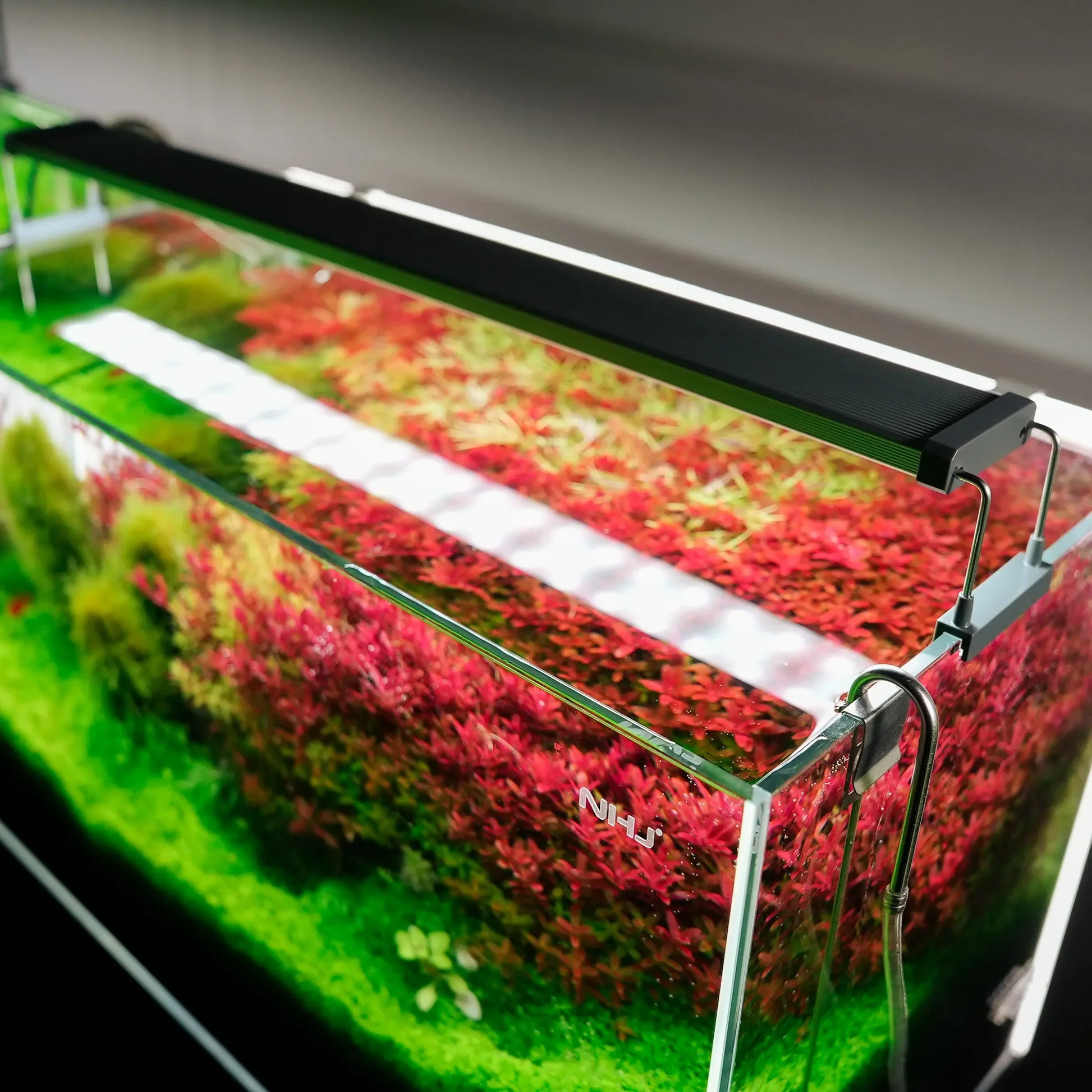 Sistema de iluminación para un acuario plantado