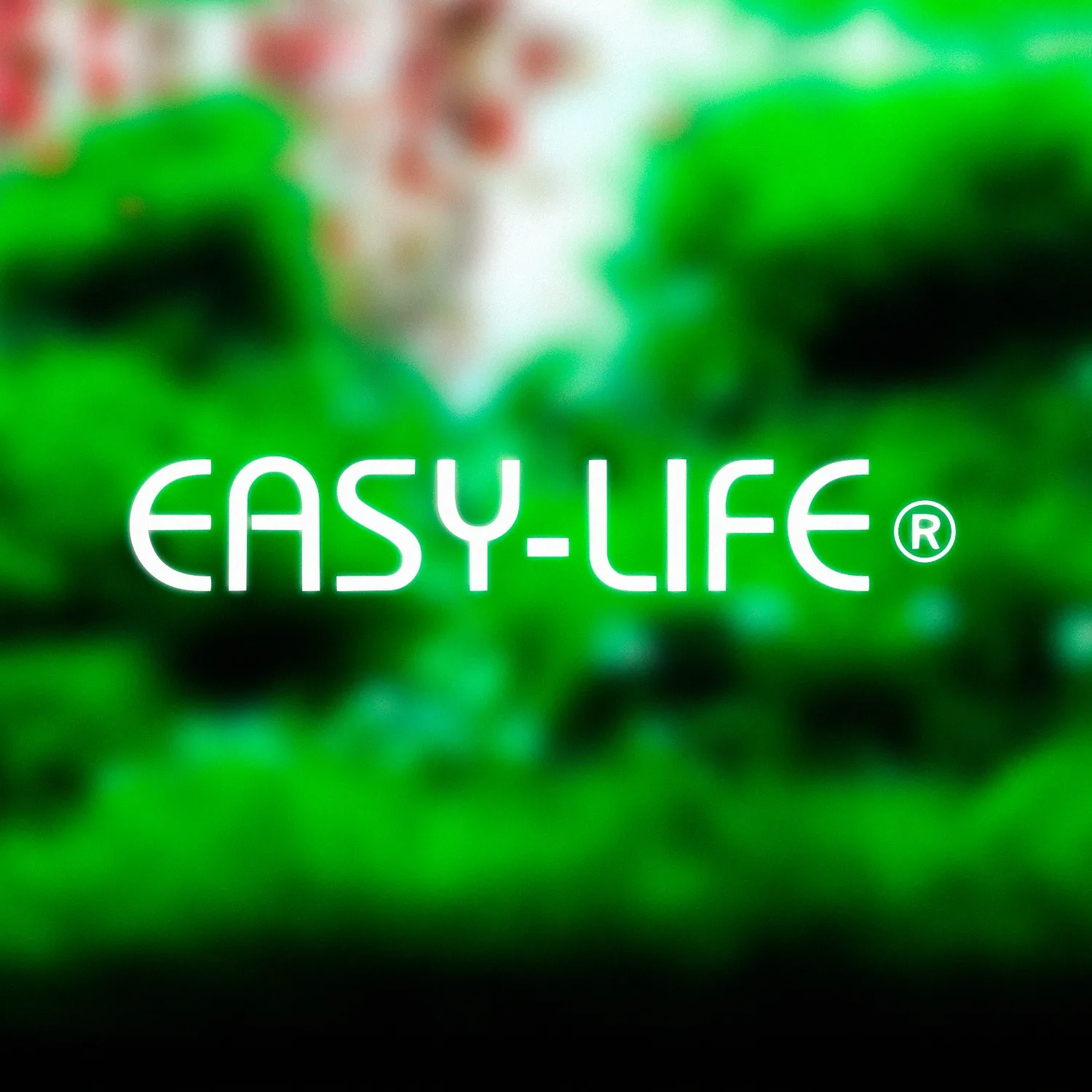 Productos Easy Life