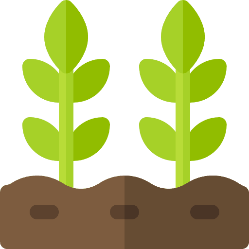 Plantas de baja exigencia