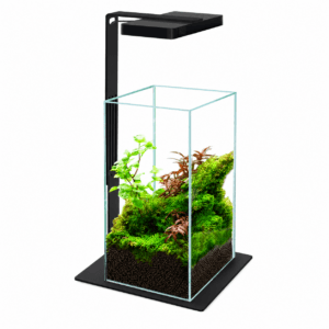 Soporte Magnético Week Aqua DJ-CX para Mini 9 Pro