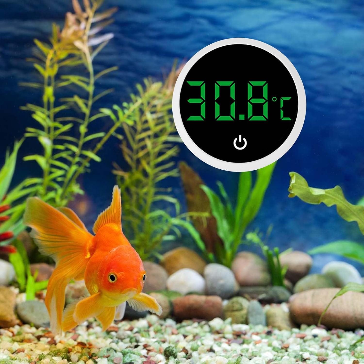 Termómetro Digital ATH-10 para Acuario - Imagen 7