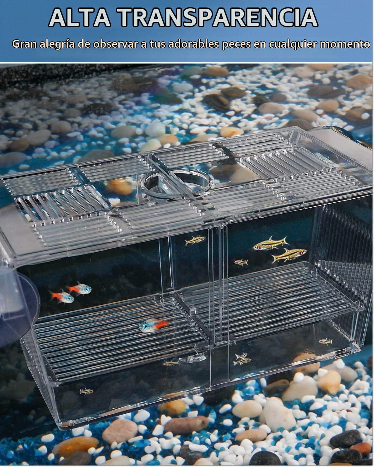 Paridera para Peces FH-4 10 x 10.5 x 21 cm para Acuario - Imagen 2