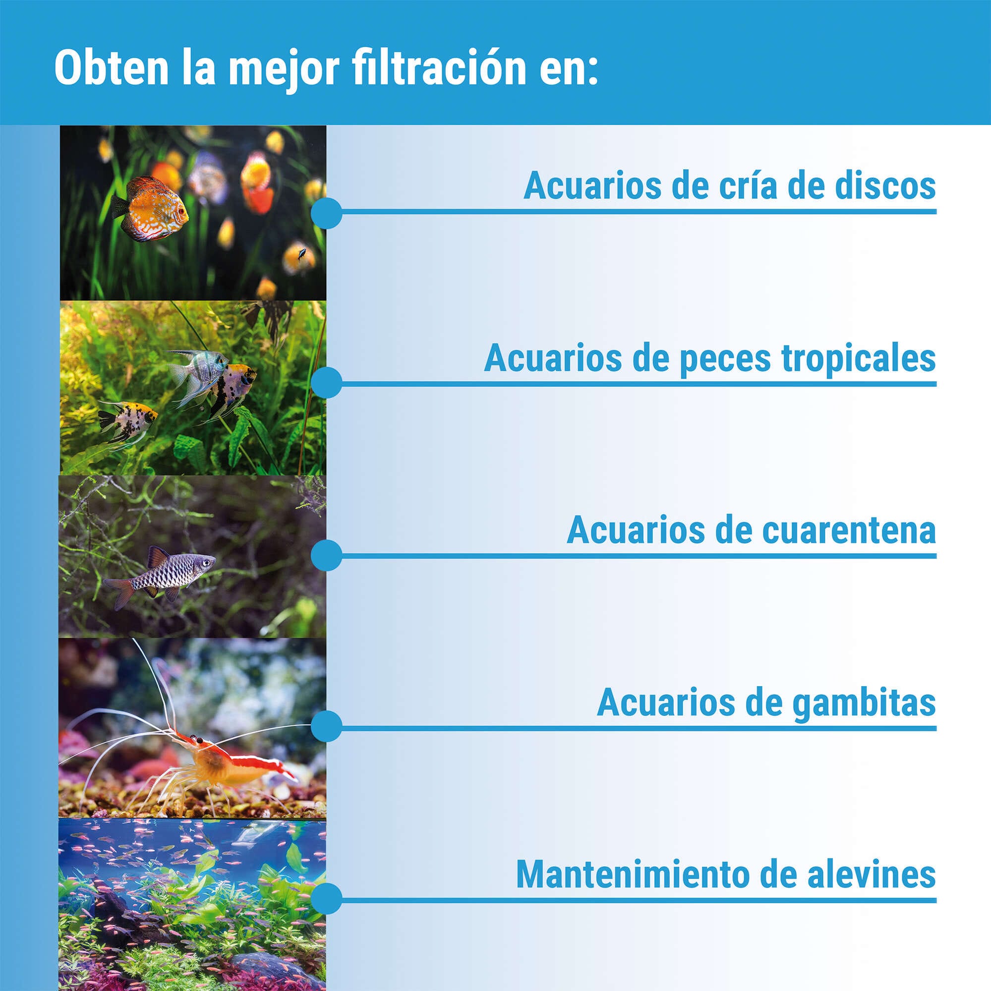 Filtro Esponja SG con Bioperlas para Acuario - Imagen 2