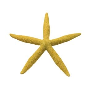 Adorno para acuario Estrella de Mar HY-260